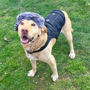 Meet your Posher, Johnnyjodie